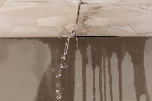 Professional Water Damage Repair technician working in Barry, TX